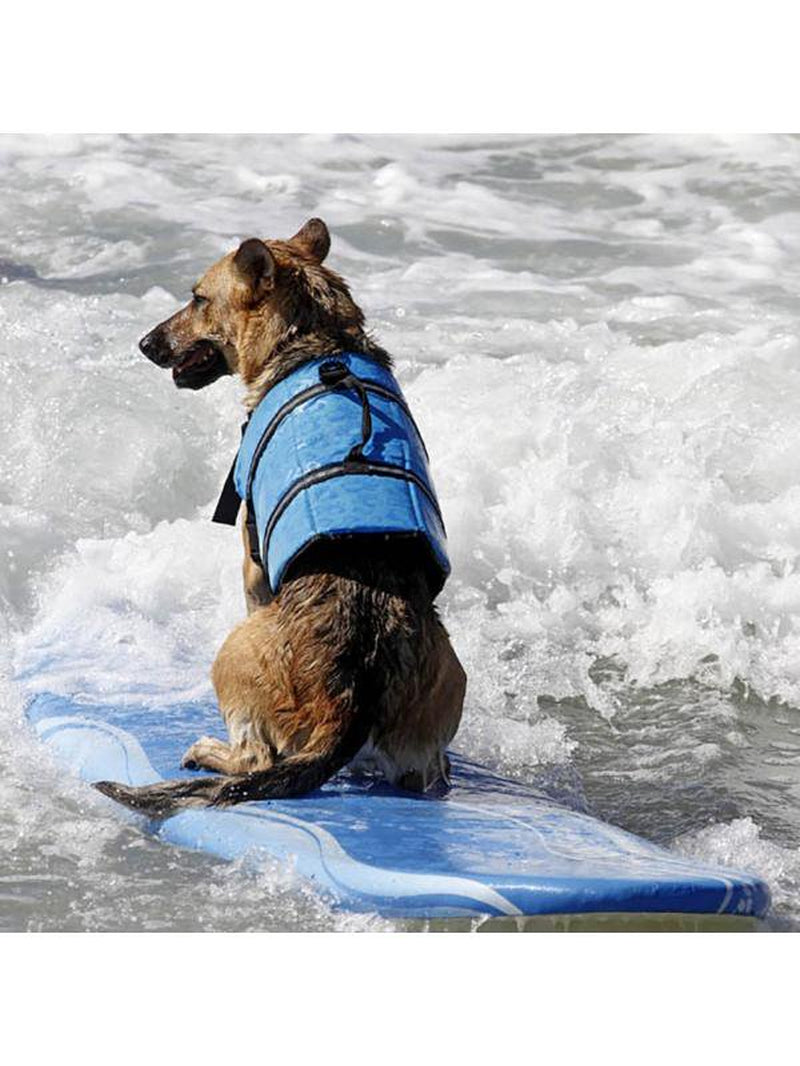 Taykoo Dog Life Jacket Adjustable Dog Lifevest Swimsuit Safrrr Vest Apparel Lifesaver Preserver Coat for Small Medium Large Puppy with Handle Reflective for Swimming and Boating Animals & Pet Supplies > Pet Supplies > Dog Supplies > Dog Apparel Taykoo   