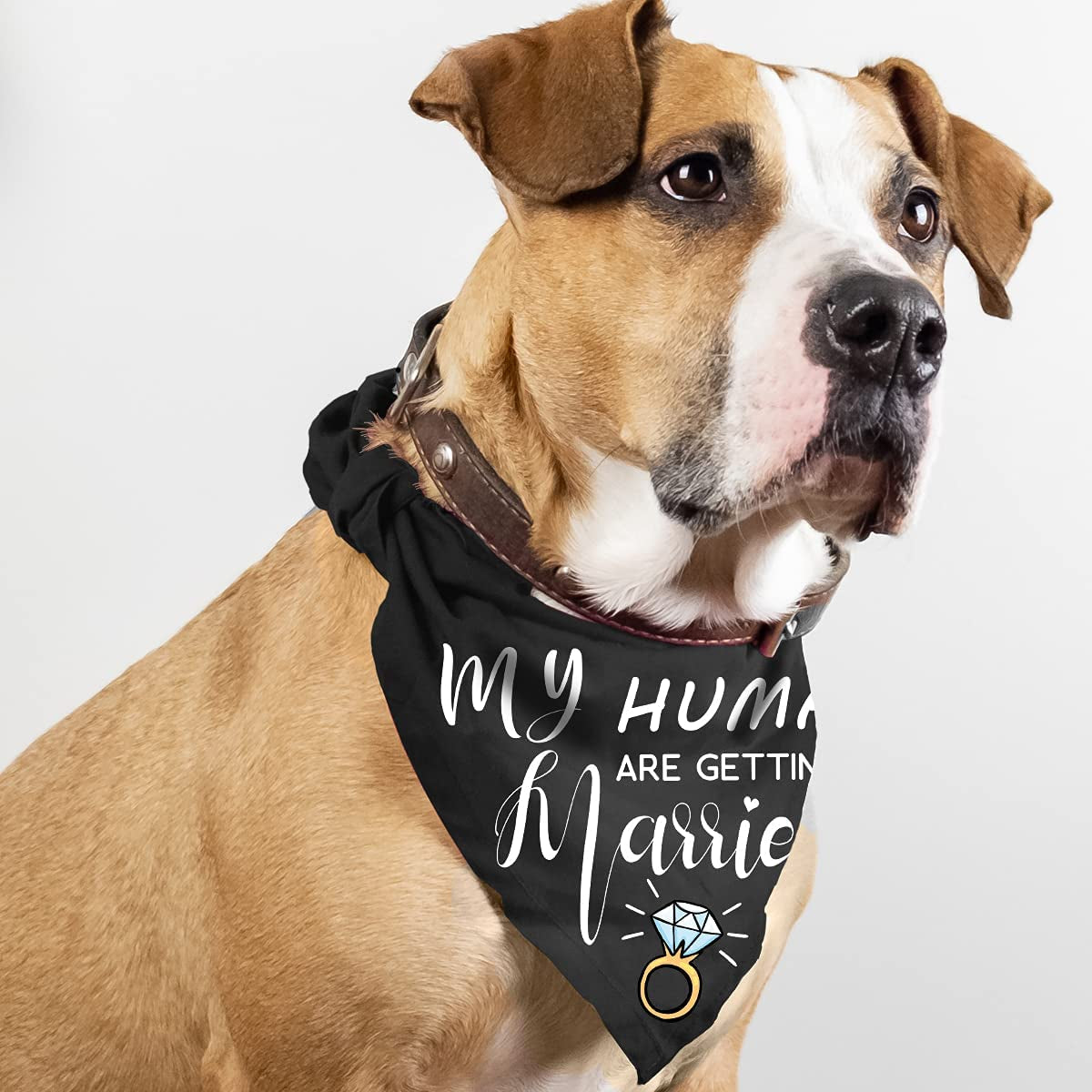 My Humans Are Getting Married She Said Yes Dog Bandana, Wedding Engagement Photos, Pet Scarf Accessories,Pet Accessories for Dog Lovers, Bridal Shower Gift, Pack of 2 Animals & Pet Supplies > Pet Supplies > Dog Supplies > Dog Apparel Yangmics Direct   