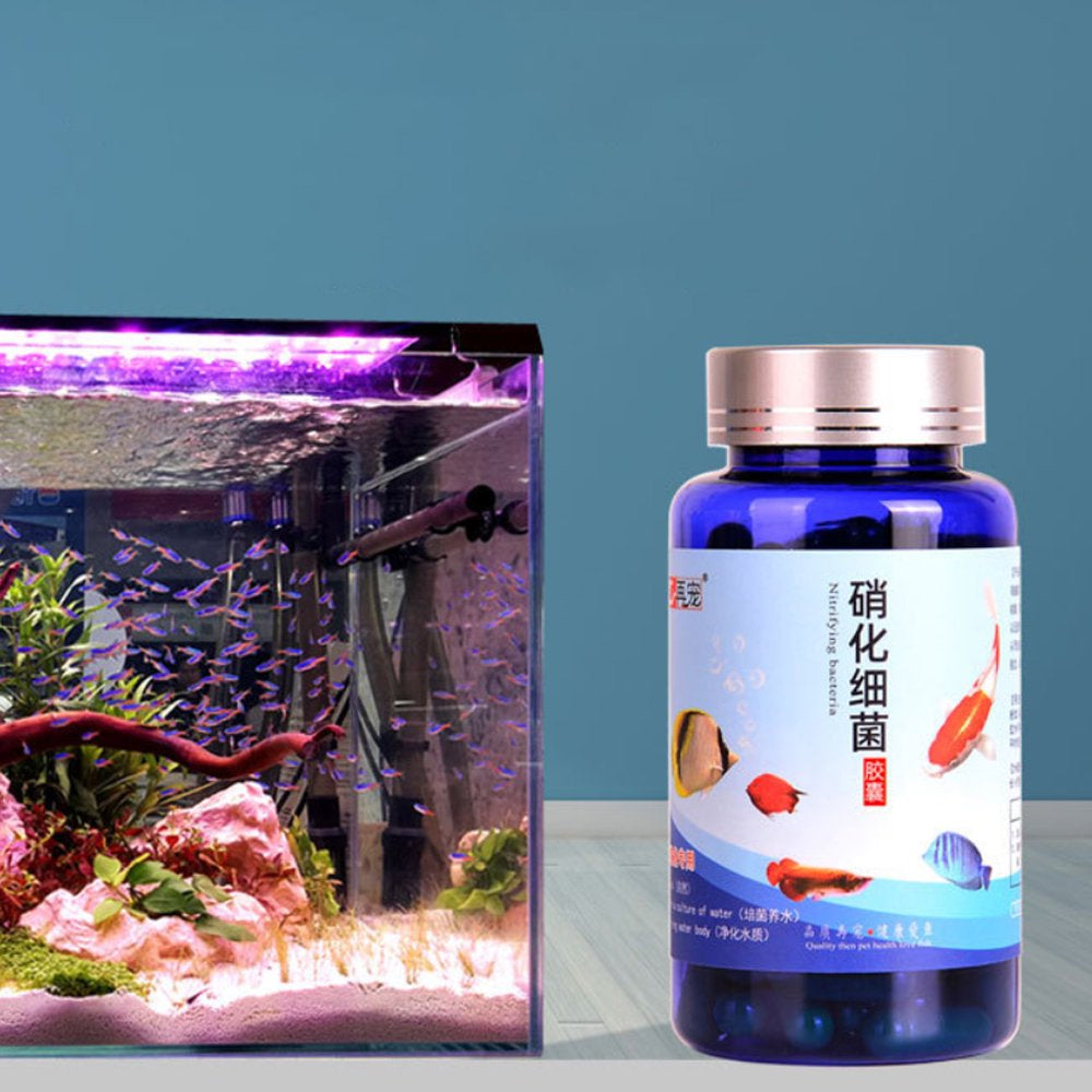 HGYCPP 20/30/50/80/100 Pcs Aquarium Nitrifying Bacteria Concentrated Capsule Fish Tank Pond Cleaning Fresh Water Supplies Animals & Pet Supplies > Pet Supplies > Fish Supplies > Aquarium Cleaning Supplies HGYCPP   