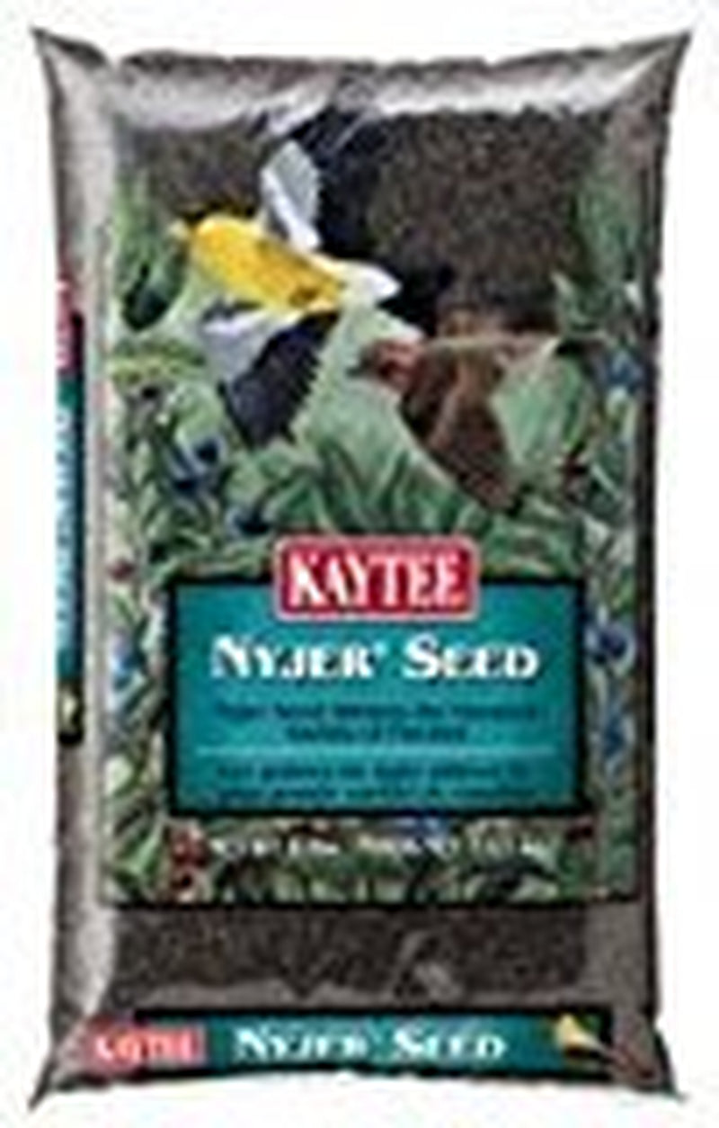 Kaytee Nyjer Songbird Wild Bird Food Thistle Seed 8 Lb. Animals & Pet Supplies > Pet Supplies > Bird Supplies > Bird Food Kaytee Products Inc.   