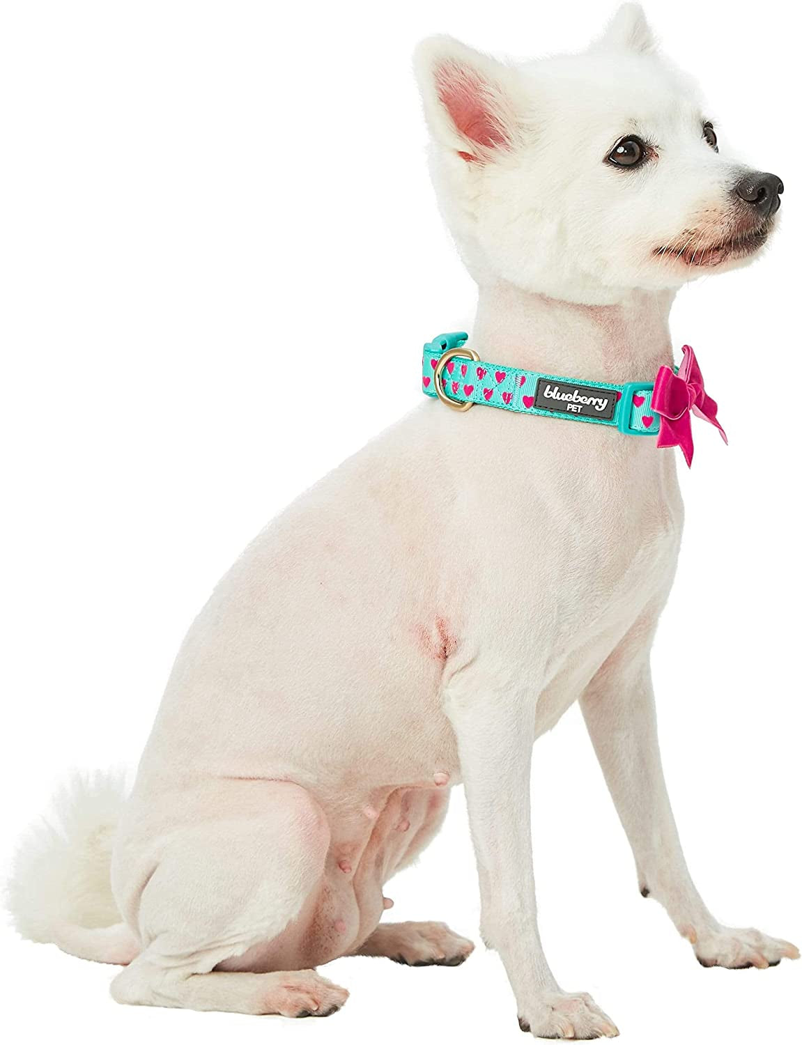 Blueberry Pet Heart Flocking Dog Collar Valentine’S Day Adjustable Collars with Velvety Bowtie for Medium Dogs, Mint Green, Neck 14.5"-20" Animals & Pet Supplies > Pet Supplies > Dog Supplies > Dog Apparel Blueberry Pet   