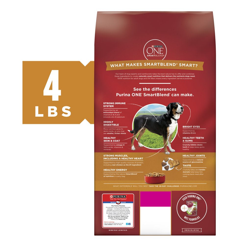 Purina ONE Natural Dry Dog Food, Smartblend Chicken & Rice Formula, 4 Lb. Bag Animals & Pet Supplies > Pet Supplies > Small Animal Supplies > Small Animal Food Nestlé Purina PetCare Company   