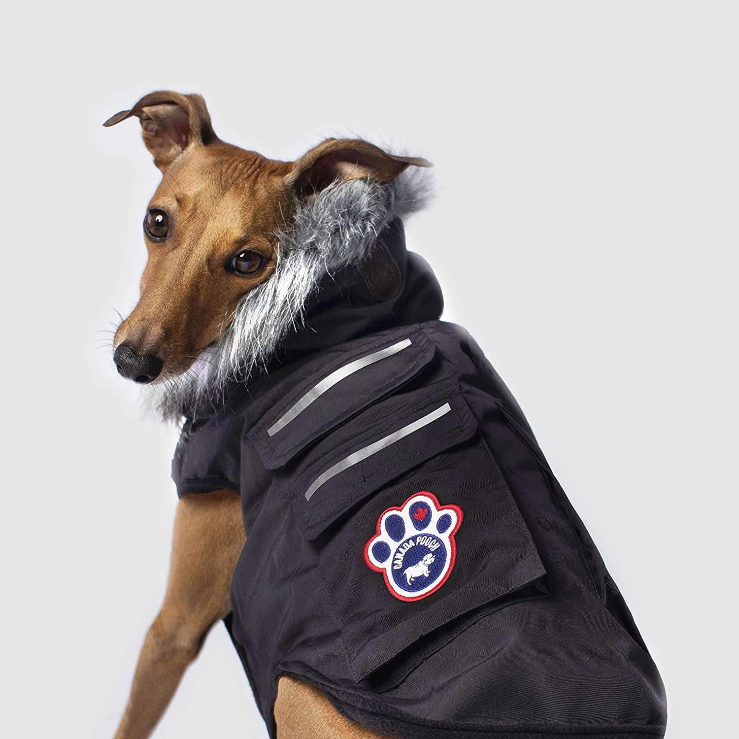 Canada Pooch Dog Winter Vest with Water-Resistent Insulation down Jacket for Warmth Comfortable Winter Dog Coat with Fleece Lining Easy on Velcro Closure for Small Medium Large Dogs - Black/Size 20 Animals & Pet Supplies > Pet Supplies > Dog Supplies > Dog Apparel Canada Pooch   