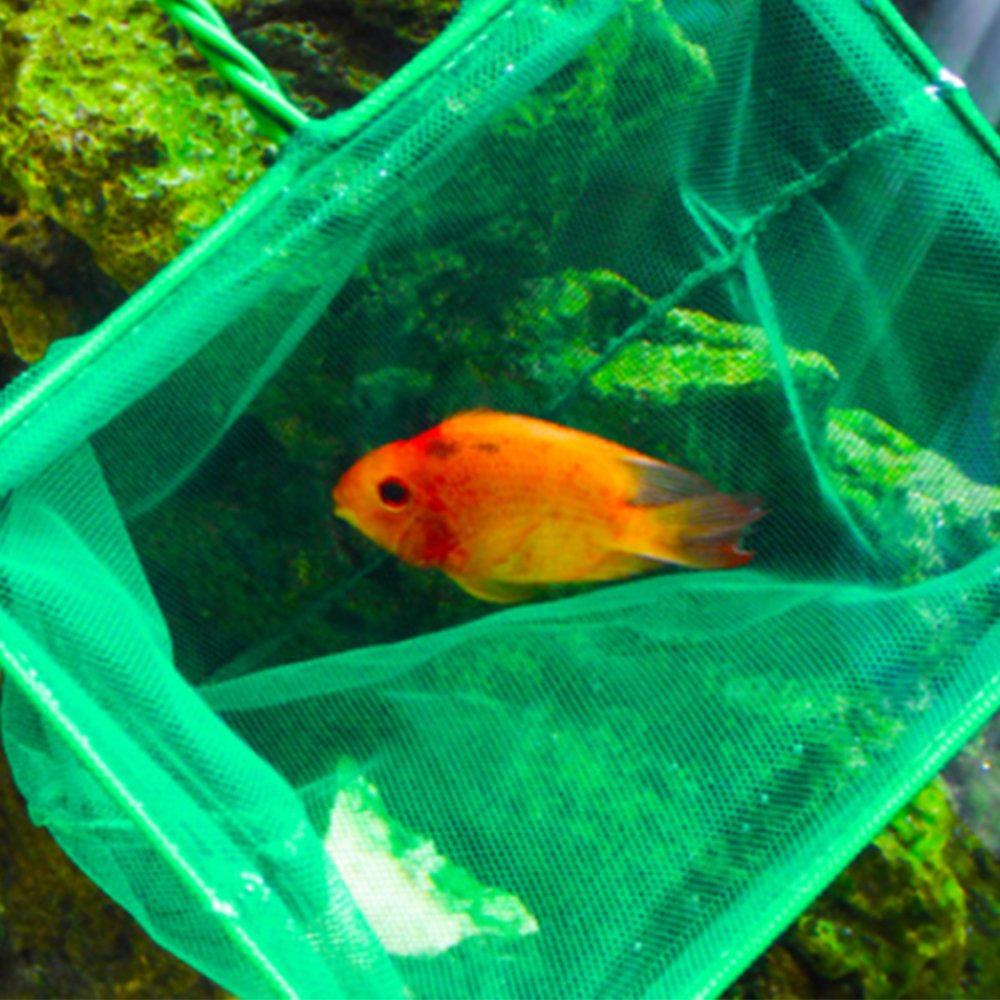 Aquarium Accessories Fish Tank Fish Fishing Net round Square Fish Fishing Animals & Pet Supplies > Pet Supplies > Fish Supplies > Aquarium Fish Nets Namotu   