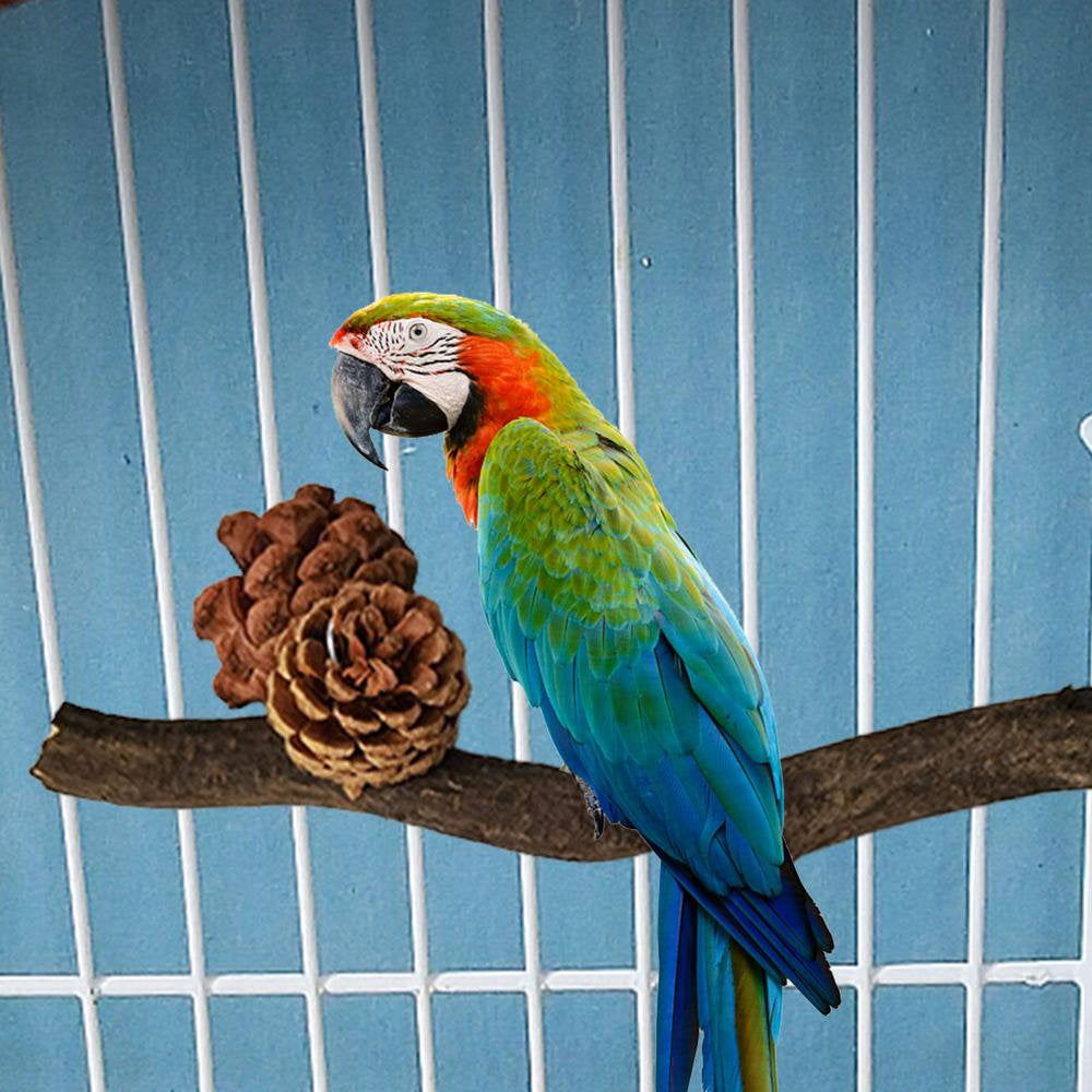 Fovolat Bird Perch Parakeet Cage Accessories Natural Wood Stand Parakeet Toys Parakeet Toys Bird Cage Decoration for Macaws Cockatoos Parakeets Peonies Honest Animals & Pet Supplies > Pet Supplies > Bird Supplies > Bird Cages & Stands Fovolat   