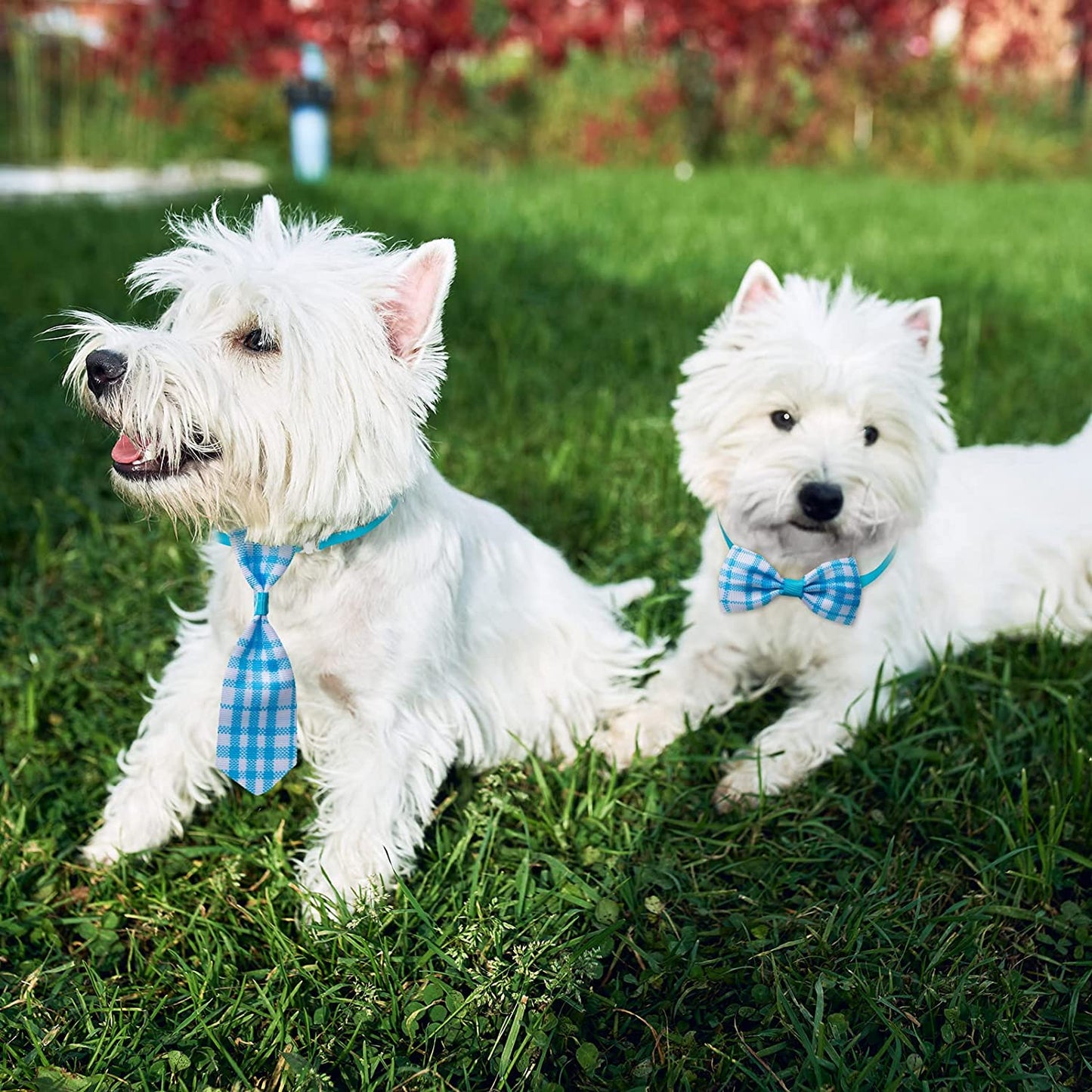 100 Pieces Dog Bow Tie Collar Set Includes 50 Neckties and 50 Bow Ties Adjustable Cat Dog Bowties Neckties for Small Medium Dogs Puppy Cat Hawaii Summer Winter Style Grooming Accessories Animals & Pet Supplies > Pet Supplies > Dog Supplies > Dog Apparel Reginary   