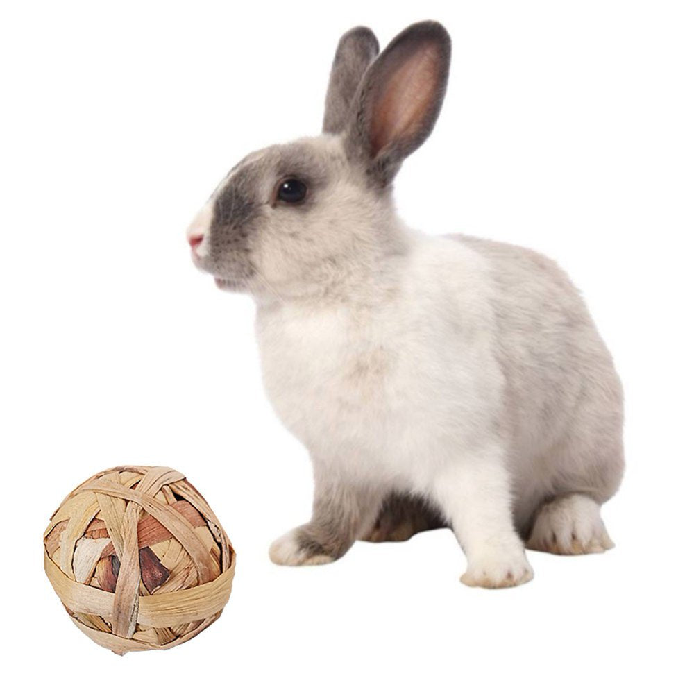 Popvcly Play Grass Balls Rolling Chew Toys and Gnawing Treats for Rabbits Guinea Pigs Chinchilla Bunny or Other Small Rodents, 3 P Animals & Pet Supplies > Pet Supplies > Small Animal Supplies > Small Animal Treats Popvcly   