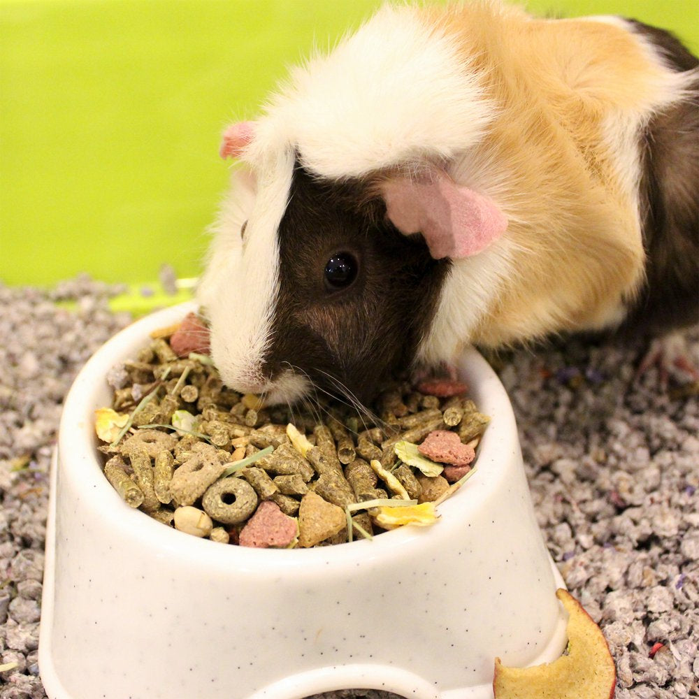 Menu Premium Guinea Pig Food - Timothy Hay Pellets Blend - Vitamin and Mineral Fortified, 8 Lbs. Animals & Pet Supplies > Pet Supplies > Small Animal Supplies > Small Animal Food Vitakraft Sunseed Inc.   