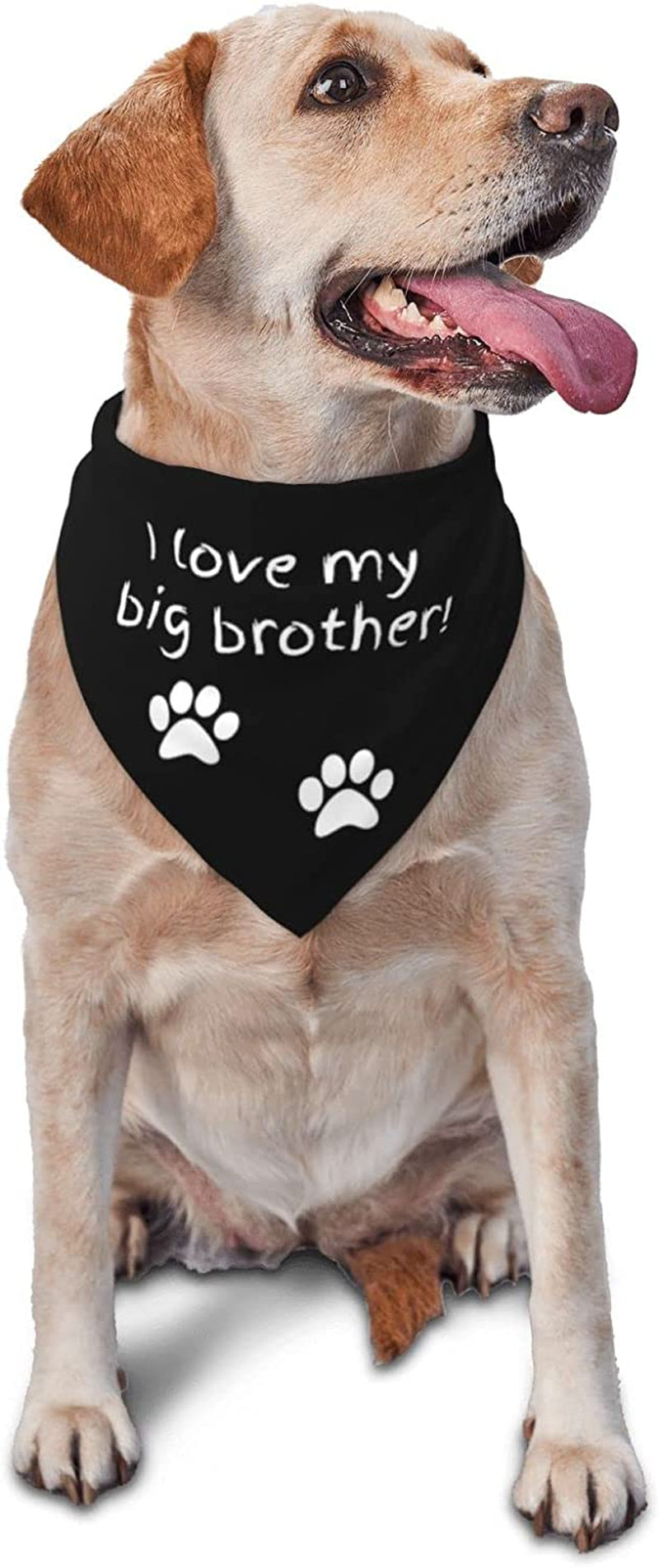 Vercosee Big Brother Dog Bandana,Pregnancy Announcement Dog Bandana, Gender Reveal Photo Booth Props, Pet Scarf for Dog Lover Owner (Big Brother) Animals & Pet Supplies > Pet Supplies > Dog Supplies > Dog Apparel vercosee i love my big brother  