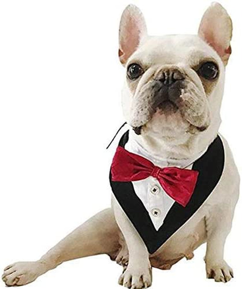 Feimax Dog Bandana Pet Triangle Bibs Scarfs Reversible Adjustable Collar Gentleman Bow Tie Suit Novelty Bandanas Dogs Neckerchief Fashion Wedding Dress Kerchief for Puppy and Cat (Red) Animals & Pet Supplies > Pet Supplies > Dog Supplies > Dog Apparel FEimaX   