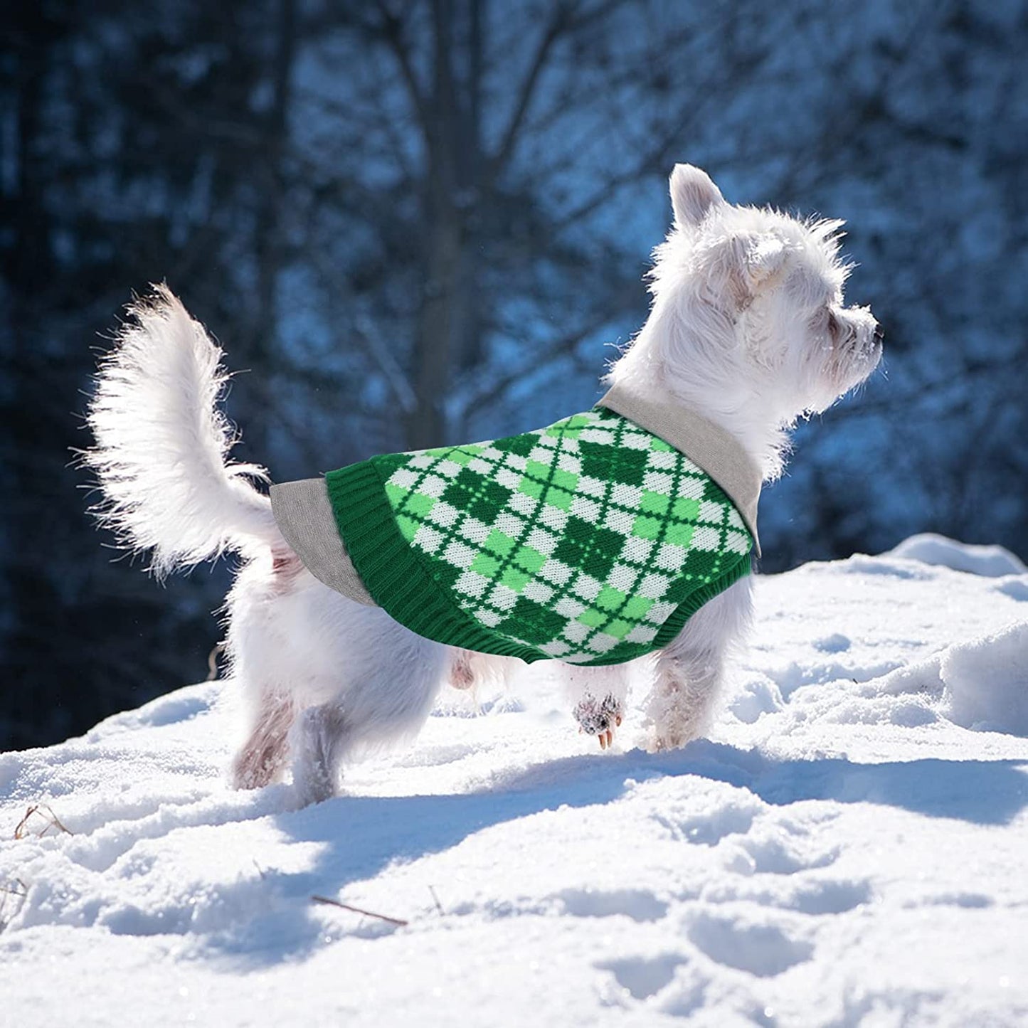 LETSQK Dog Sweater Dog Knitted Pet Clothes Classic Dog Winter Outfit with Plaid Argyle Patterns Warm Dog Sweatshirt with Polo Collar for Small Medium Puppies Dogs Cats, Green, L Animals & Pet Supplies > Pet Supplies > Dog Supplies > Dog Apparel LETSQK   