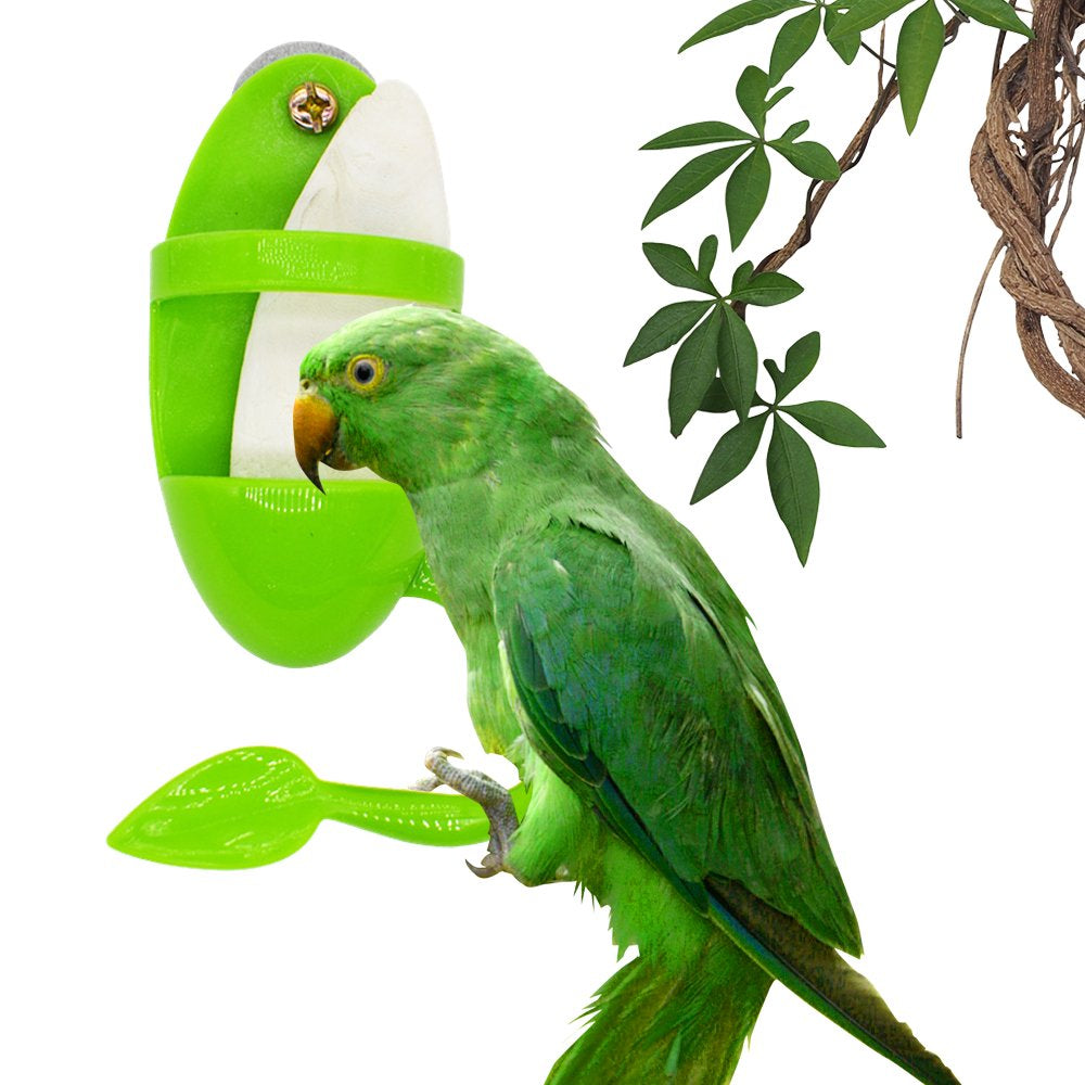 Bird Feeding Cup+Bird Perch Stand; Bird Toys,Cuttlebone Stand Holder Rack Birdcage Accessories Fruit Vegetable Storage for Birds Parakeets Cockatiels, Conures, Macaws, Lovebirds, Finches Animals & Pet Supplies > Pet Supplies > Bird Supplies > Bird Cage Accessories ALPACASSO   