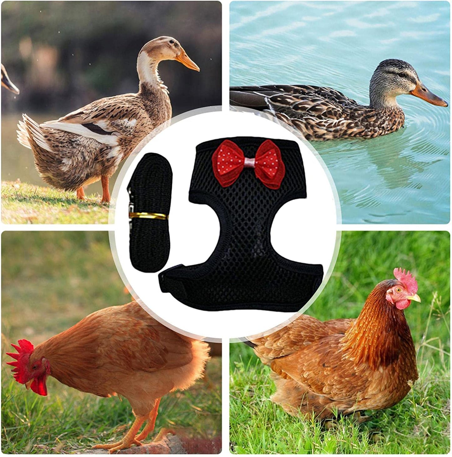 Chicken Harness | Comfortable Hens Vest with Mesh - Breathable Halloween Christmas Duck Harness for Chicken Duck Puppy Training Walking Emole Animals & Pet Supplies > Pet Supplies > Dog Supplies > Dog Apparel EmoLE   