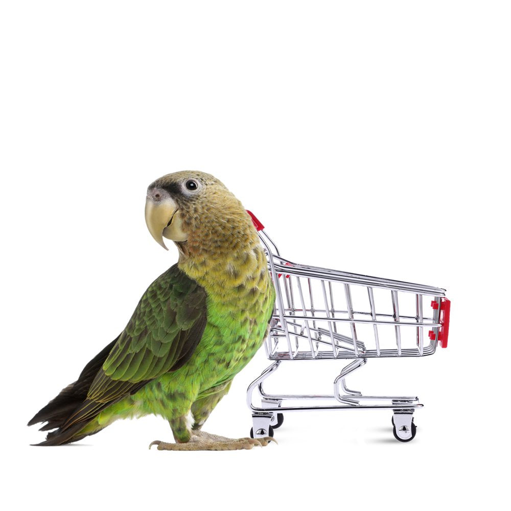 Cute Metal Mini Shopping Cart Pet Bird Parrot Toy for Conures Parakeet Lovebirds Cockatiel Animals & Pet Supplies > Pet Supplies > Bird Supplies > Bird Toys Anself   