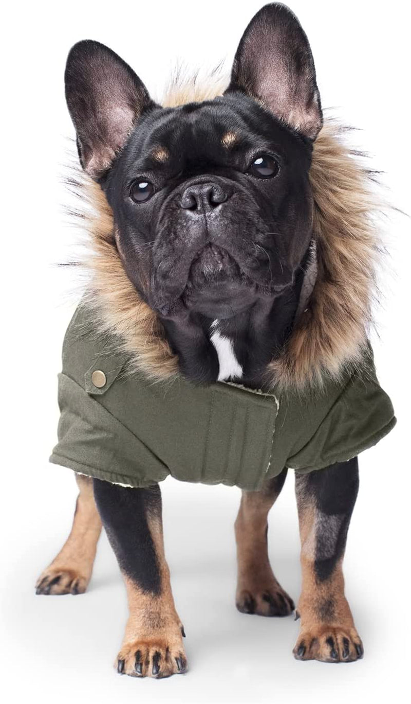 Canada Pooch Winter Dog Coat Water-Resistant Insulated Dog Jacket Faux-Fur Trim Dog Parka Coat for Dogs - Army Green, Size 12 Animals & Pet Supplies > Pet Supplies > Dog Supplies > Dog Apparel Canada Pooch Army Green 26 