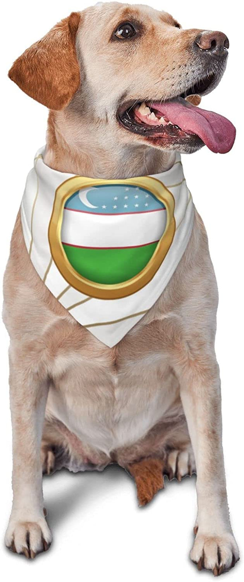 Golden Disc Uzbekistan Flag Pet Dog and Cat Decorative Triangle Scarf,Dog Bandana,Breathable and Stain Resistant. Animals & Pet Supplies > Pet Supplies > Dog Supplies > Dog Apparel ZALTAS   