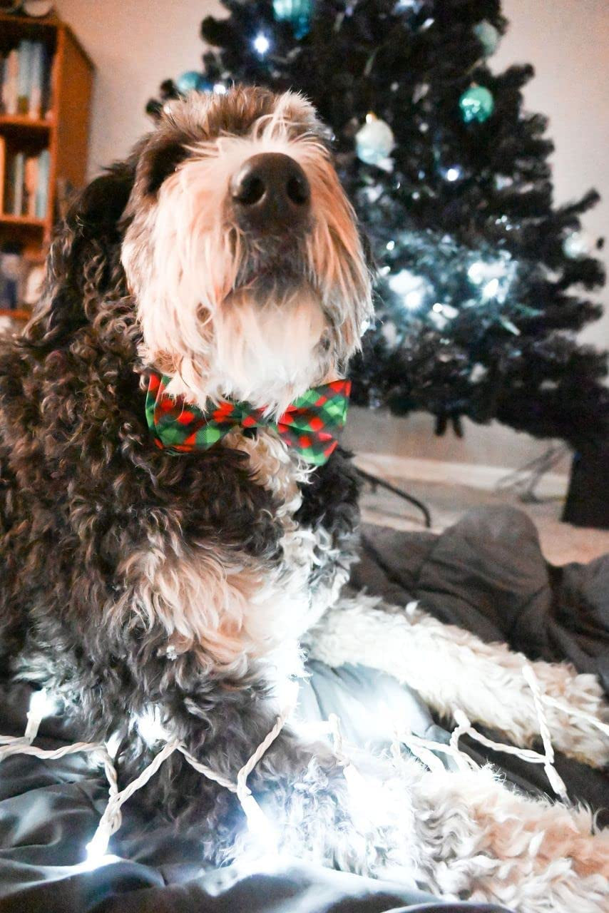 H&K Bow Tie for Pets | Scottish Check (Large) | Christmas Holiday Velcro Bow Tie Collar Attachment | Fun Bow Ties for Dogs & Cats | Cute, Comfortable, and Durable | Huxley & Kent Bow Tie Animals & Pet Supplies > Pet Supplies > Dog Supplies > Dog Apparel Huxley & Kent   