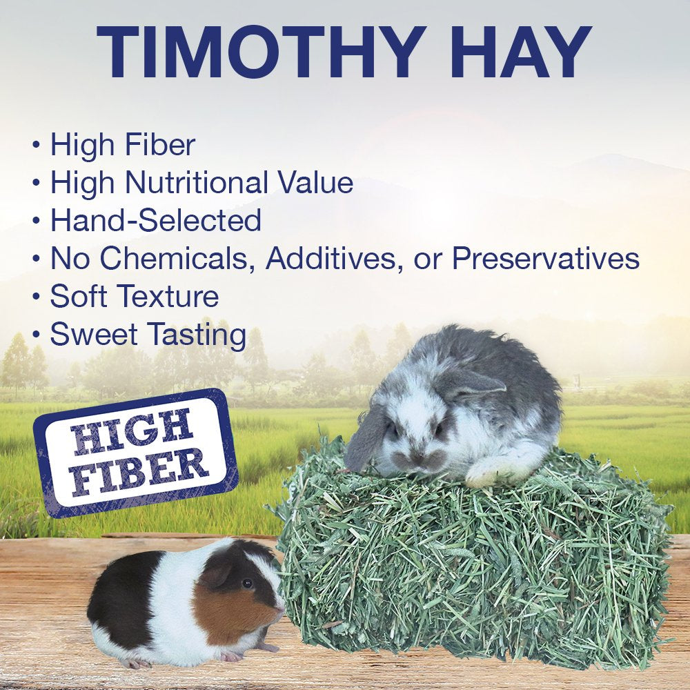 Grandpa'S Best Timothy Hay Mini Bale for Small Animals - 40Oz