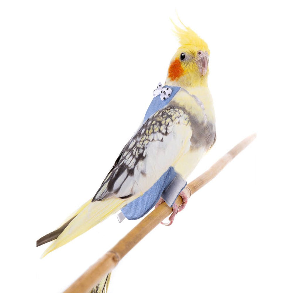 Parrot Flight Suits Diapers, Reusable Washable Parrot Nappies Clothes Flight Suit Dress, Soft Washable Breathable Nappy Diaper for Parrots Nappies Parakeet Cockatiel African Macaw Animals & Pet Supplies > Pet Supplies > Dog Supplies > Dog Diaper Pads & Liners PUMYPOREITY   