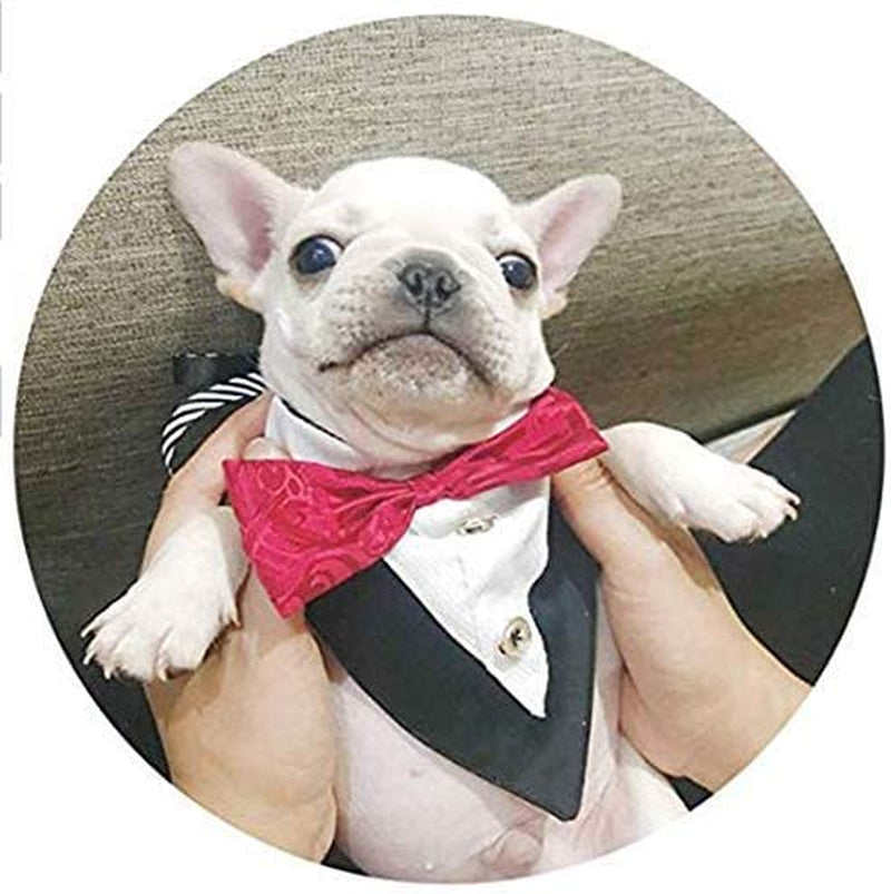 Feimax Dog Bandana Pet Triangle Bibs Scarfs Reversible Adjustable Collar Gentleman Bow Tie Suit Novelty Bandanas Dogs Neckerchief Fashion Wedding Dress Kerchief for Puppy and Cat (Red) Animals & Pet Supplies > Pet Supplies > Dog Supplies > Dog Apparel FEimaX   