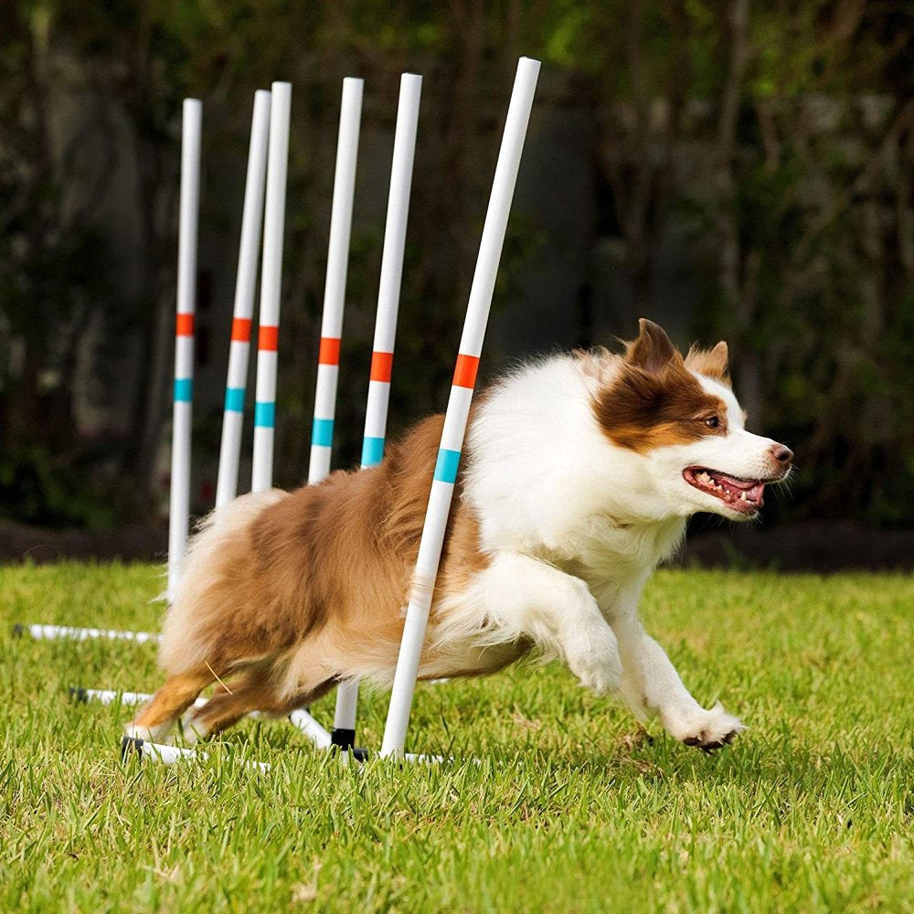 Jadayon Dog Agility Weave Poles, Fixed Set of Agility Weave Poles. Perfect for Backyard Fun and Playing with Your Dog! Animals & Pet Supplies > Pet Supplies > Dog Supplies > Dog Treadmills JaDAYon   