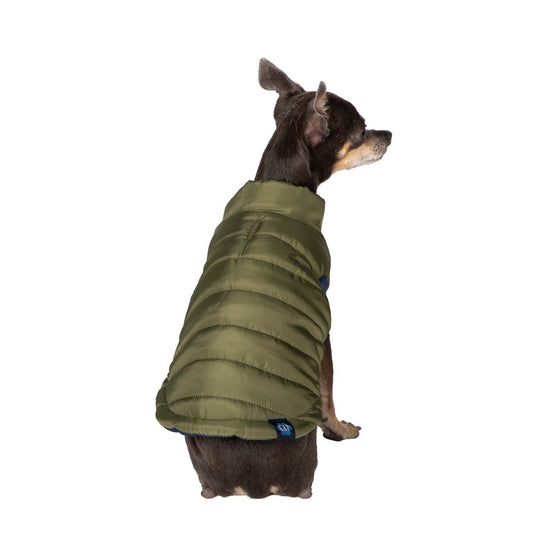 Gap Pet, Dog Clothes Green Bomber Pet Jacket Animals & Pet Supplies > Pet Supplies > Dog Supplies > Dog Apparel Mission Pets, Inc XS  