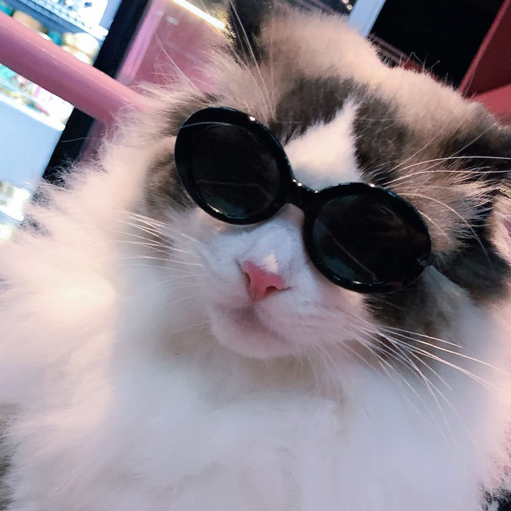 Gigicloud Small Cat Glasses Pet Sunglasses Windproof Dustproof round Dog Glasses Pet Sunglasses for Small Medium Dogs Cats Party Cosplay Costume Photo Prop Animals & Pet Supplies > Pet Supplies > Dog Supplies > Dog Apparel Gigicloud   