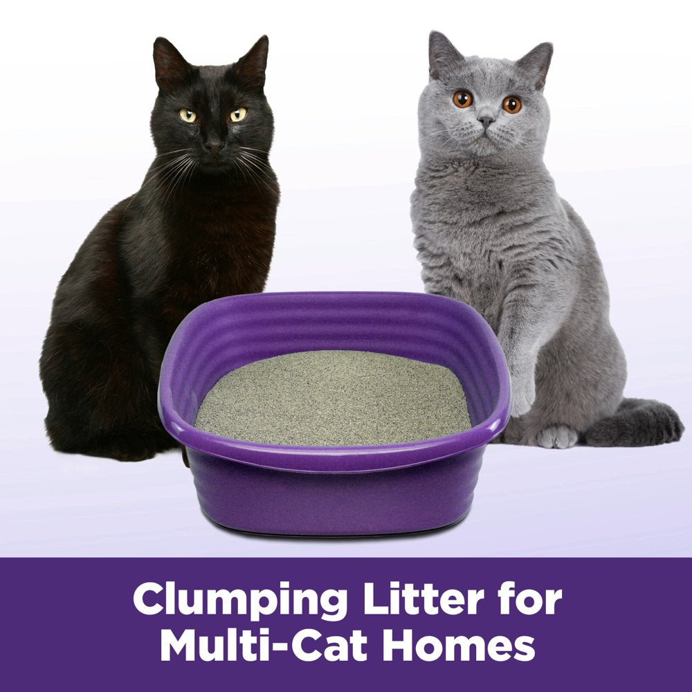 Arm & Hammer SLIDE Easy Clean-Up Multi-Cat Clumping Cat Litter, 38Lb Animals & Pet Supplies > Pet Supplies > Cat Supplies > Cat Litter Church & Dwight Co., Inc.   