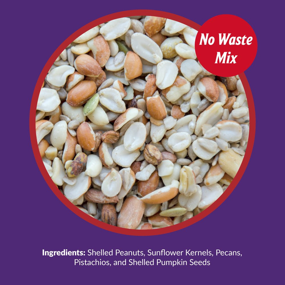 Lyric Delite Wild Bird Seed, No Waste Bird Food Mix with Shell-Free Nuts and Seeds, 5 Lb. Bag Animals & Pet Supplies > Pet Supplies > Bird Supplies > Bird Food Lebanon Seaboard Corporation   