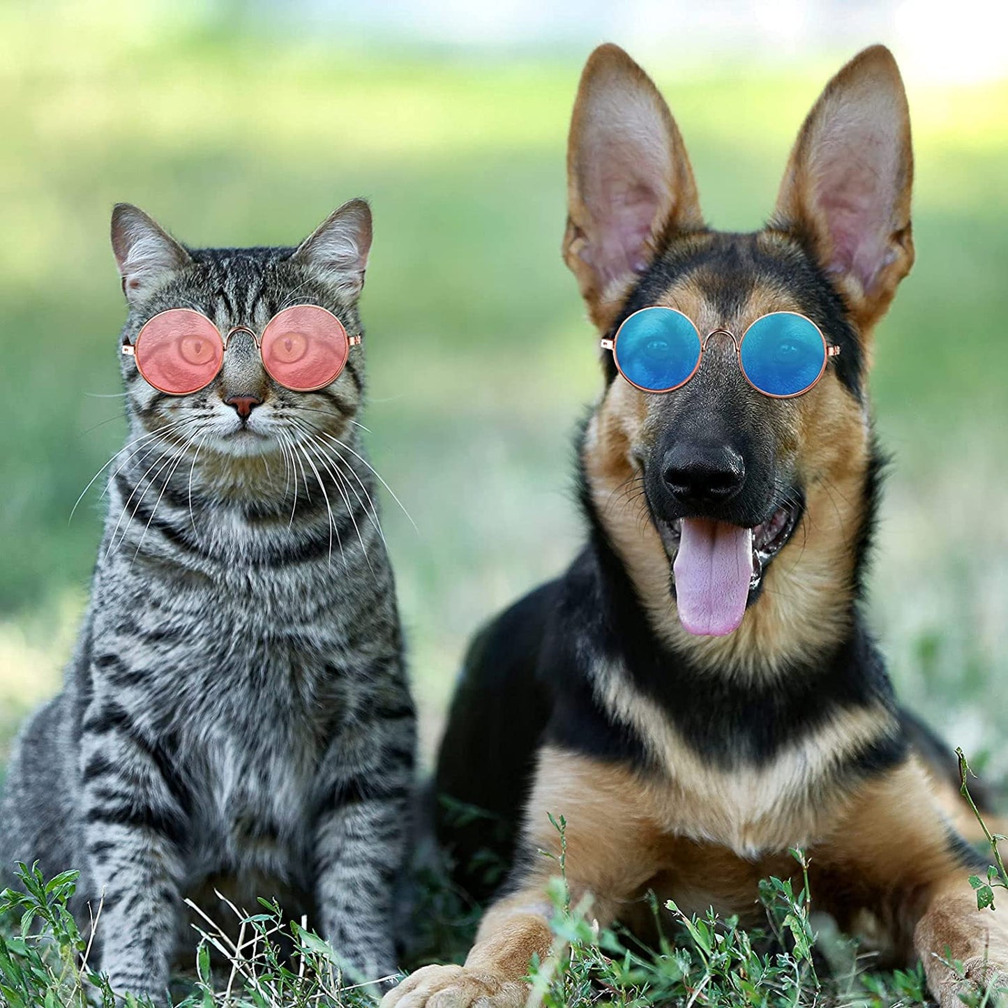 15 Pieces Small Pet Sunglasses Retro Dog Sunglasses round Metal Puppy Sunglasses Cosplay Glasses Photo Props Eyewear for Cats and Small to Medium Sized Dogs Animals & Pet Supplies > Pet Supplies > Dog Supplies > Dog Apparel Weewooday   