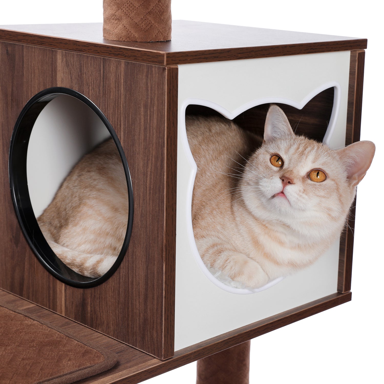 PAWZ Road 56" Wooden Cat Tree Tower with Large Storage Box for Indoor Cats,Brown Animals & Pet Supplies > Pet Supplies > Cat Supplies > Cat Furniture Wal02-AMT0167BN   