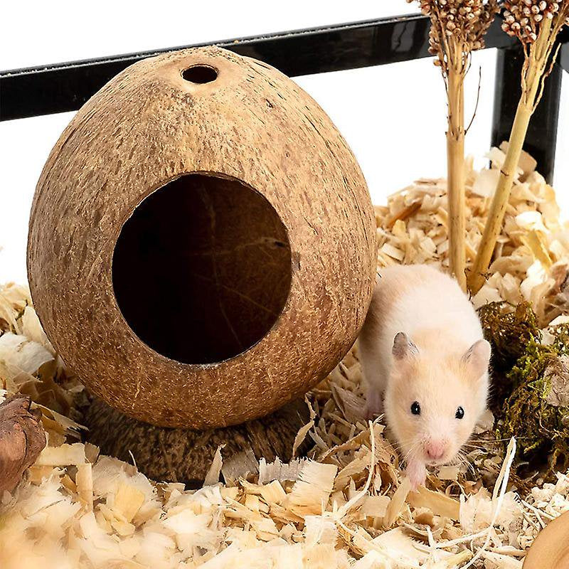 Hamster House Bed: for Gerbils Mice Small Animal Cage Habitat Dcor(1Pcs, Brown) Animals & Pet Supplies > Pet Supplies > Small Animal Supplies > Small Animal Habitats & Cages BAA   