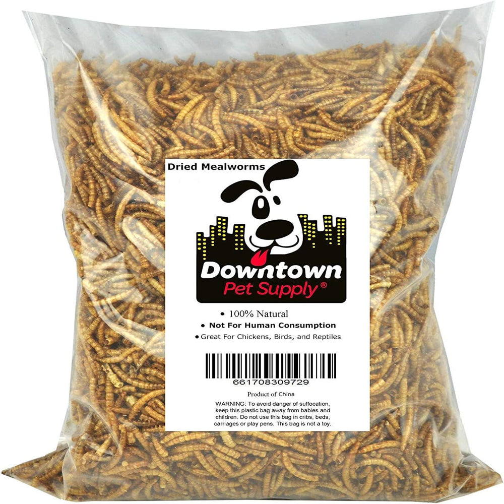 Downtown Pet Suppl Mealworms - Rich in Vitamin B12, B5, Protein, Fibre and Omega 3 Fatty Acids - Chicken, Duck and Bird Food - Reptile and Turtle Foo Animals & Pet Supplies > Pet Supplies > Bird Supplies > Bird Treats Downtown Pet Supply 2 lbs  