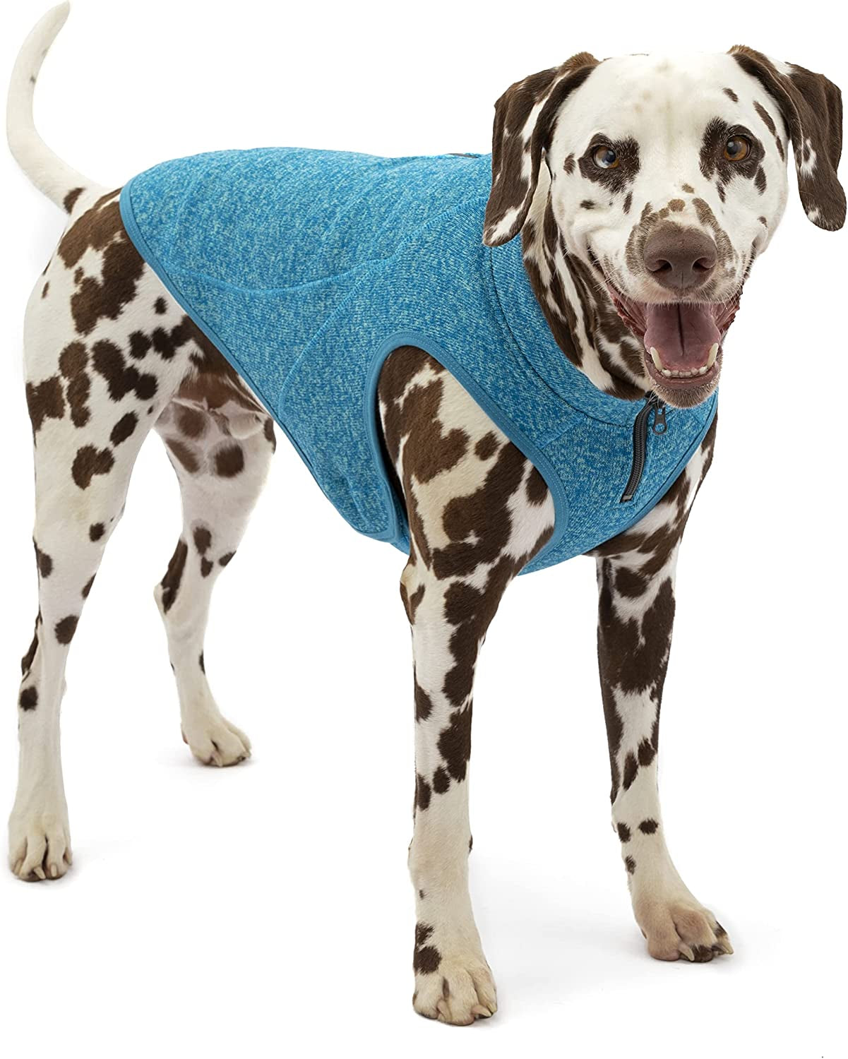 Kurgo K9 Core Dog Sweater | Year-Round Sweater for Dogs | Dog Fleece Vest | Knit Fleece Pet Jacket | Fleece Lining | Lightweight | Zipper Opening for Harness | Adjustable Neck | Black | Medium Animals & Pet Supplies > Pet Supplies > Dog Supplies > Dog Apparel Radio Systems Corporation Heather Blue Medium 