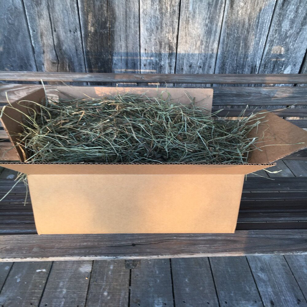 Taul Farms Certified Organic Premium Orchard Grass Clover Hay for Rabbits & Small Pets Animals & Pet Supplies > Pet Supplies > Small Animal Supplies > Small Animal Food Taul Farms 5 lbs  