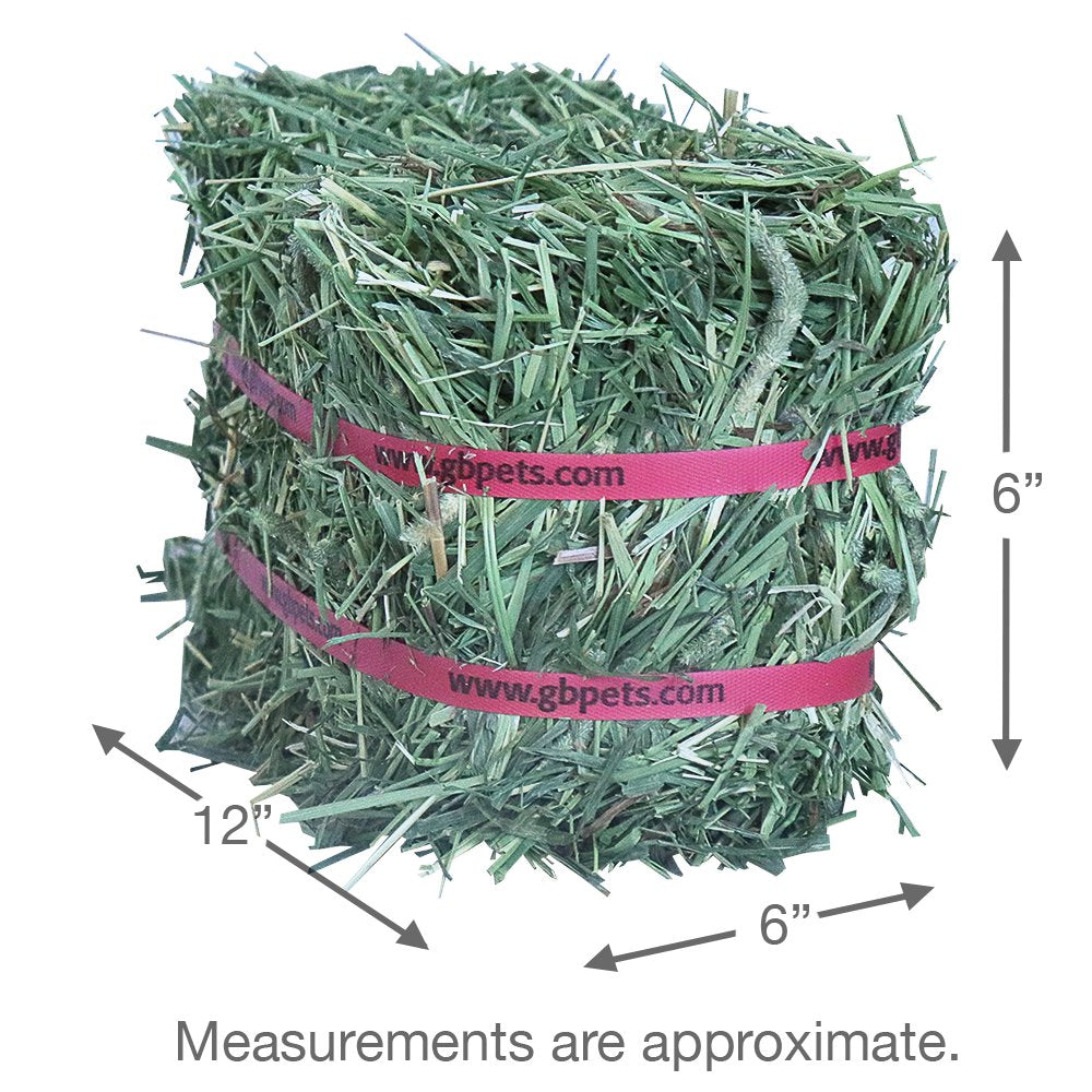 Grandpa'S Best Timothy Hay Mini Bale for Small Animals - 10Lb Animals & Pet Supplies > Pet Supplies > Small Animal Supplies > Small Animal Food Grandpa's Best LLC   
