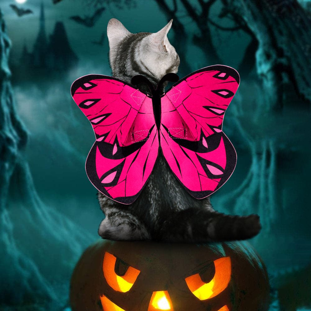 Legendog Halloween Pet Butterfly Costume Decorative Adjustable Flying Butterfly Wing Apparel with Cat Collar for Small Dogs Cats Animals & Pet Supplies > Pet Supplies > Cat Supplies > Cat Apparel Legendog   
