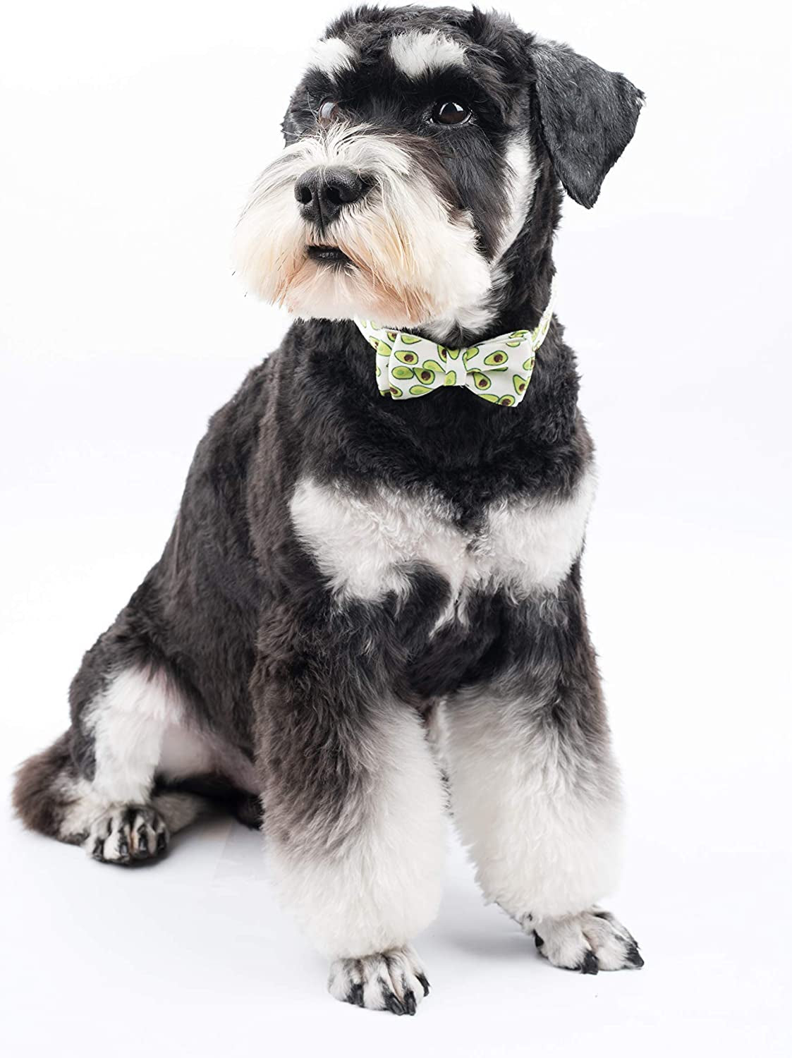 Gyapet Dog Collar with Bow Tie Snap Puppy Boy & Girl Adjustable Cute Pattern Small Medium Large Pet Green Avocado S Animals & Pet Supplies > Pet Supplies > Dog Supplies > Dog Apparel Gyapet   