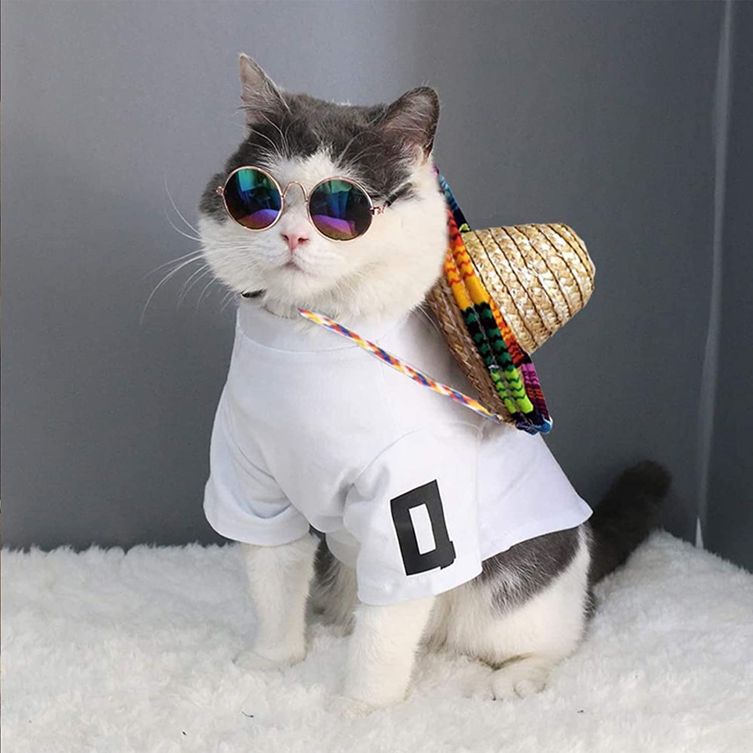 6 Pieces Pet Dog Cat Costume, Pet Sunglasses and Summer Pet Straw
