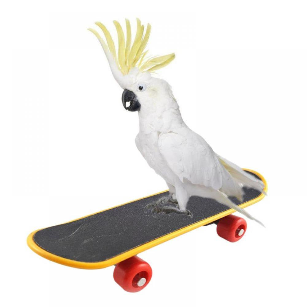 Pet Bird Toys Parrot Toys Funny Intelligence Skateboard Toy Stand Perch Toy for Parakeet Cockatiels Bird Training Accessories Animals & Pet Supplies > Pet Supplies > Bird Supplies > Bird Toys Fantadool   