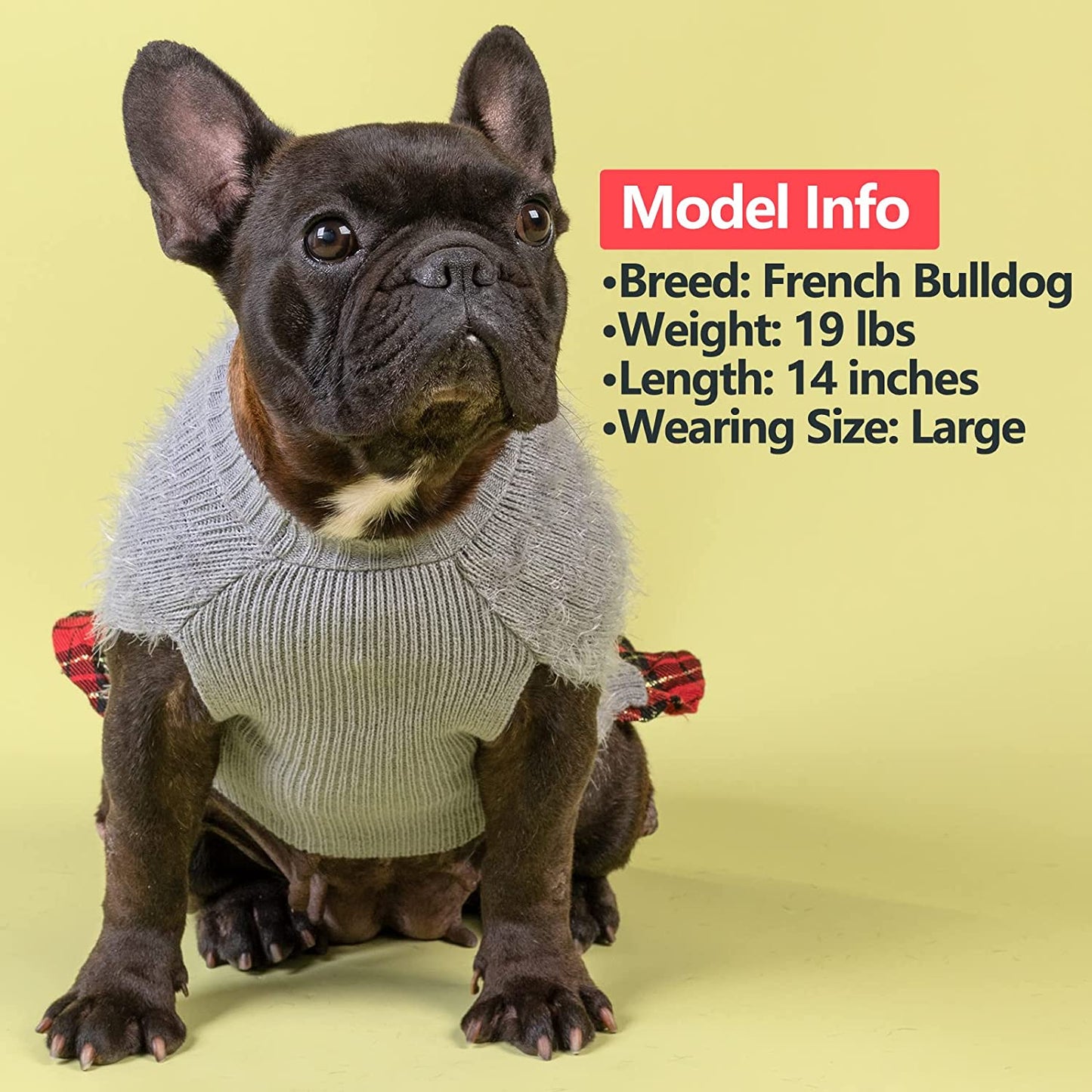 KYEESE Dog Sweaters Dress Turtleneck Medium Dog Sweaters with Bowtie Knit Pullover Warm Dog Clothes, Grey, XXL Animals & Pet Supplies > Pet Supplies > Dog Supplies > Dog Apparel kyeese   