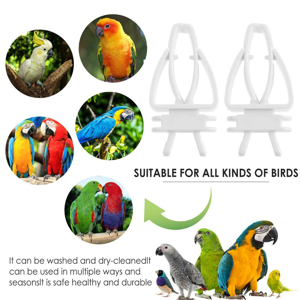 IMSHIE Parrot Food Clips, Bird Cage Food Holder, Parakeet Cage Accessories, Food Feeder Clip for Bird Budgie Parakeet Cockatoo Macaw Cockatiel Conure, White Very Well Animals & Pet Supplies > Pet Supplies > Bird Supplies > Bird Cage Accessories IMSHIE   