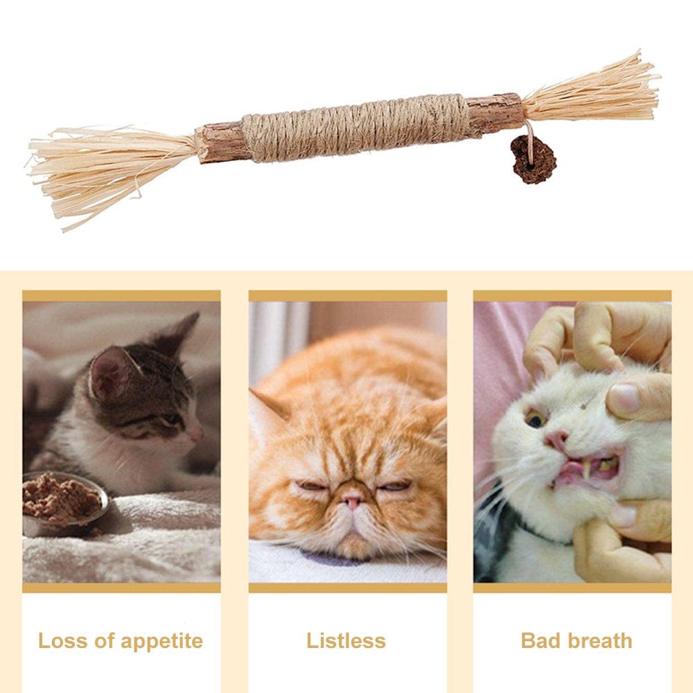 Abenow 2PCS Cat Toys Kitten Teething Chew Toys Natural Chew Sticks for Pet Teeth Cleaning Animals & Pet Supplies > Pet Supplies > Cat Supplies > Cat Toys Abenow   