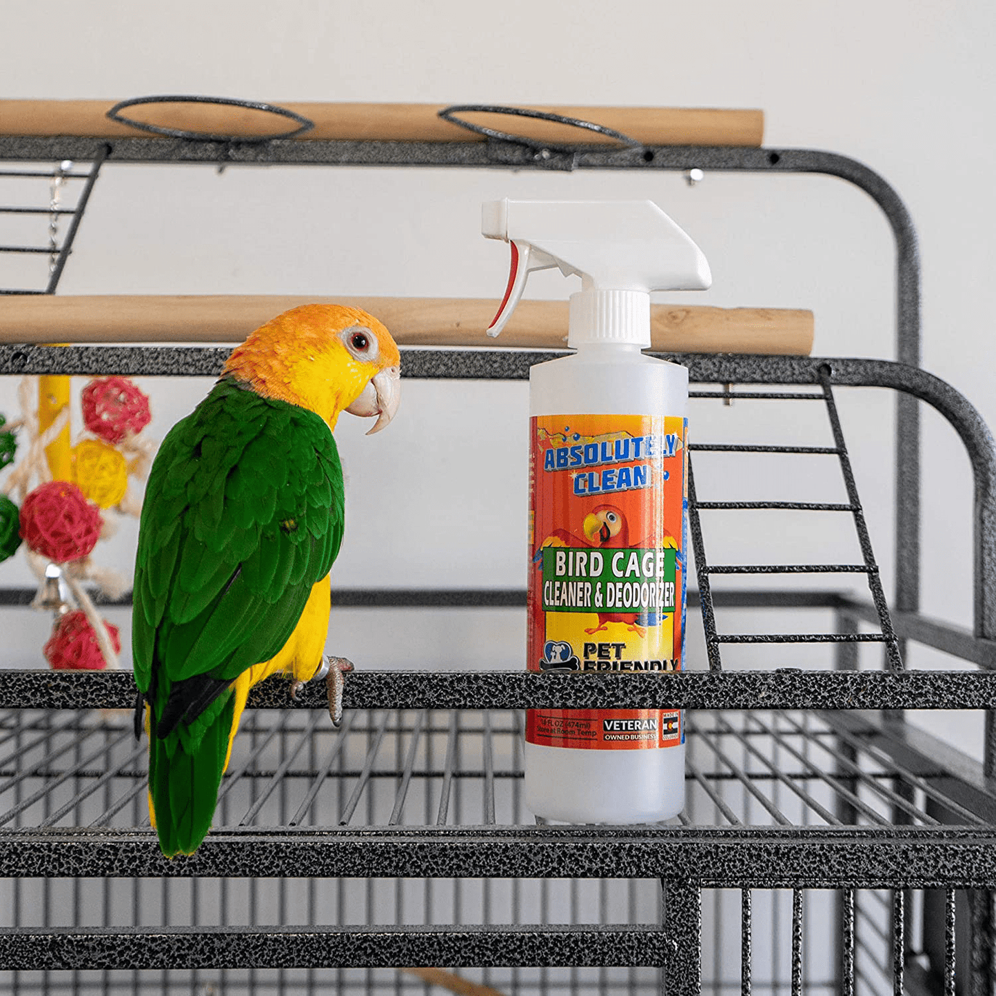 Absolutely Clean Amazing Bird Cage Cleaner and Deodorizer - Just Spray/Wipe - Safely & Easily Removes Bird Messes Quickly and Easily - Made in the USA Animals & Pet Supplies > Pet Supplies > Bird Supplies > Bird Treats Absolutely Clean   