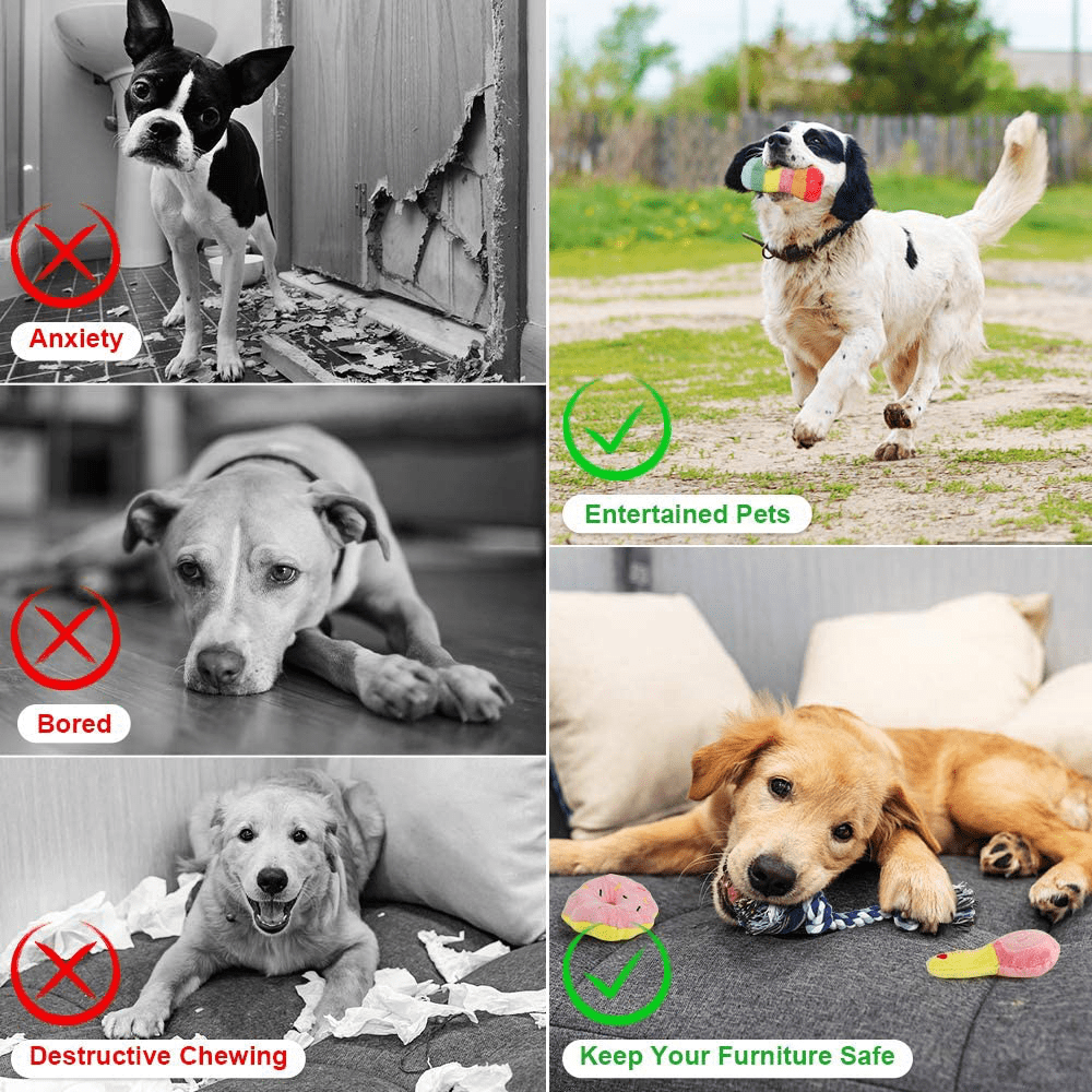 https://kol.pet/cdn/shop/products/abtor-puppy-teething-chew-toys-12-pack-squeaky-dog-toys-stuffed-plush-puppy-toys-100-natural-cotton-rope-interactive-cute-and-safe-non-toxic-dog-chew-toys-for-small-medium-dogs-287326_046bc947-083a-4399-86e1-32311213a8de_1445x.png?v=1681053670