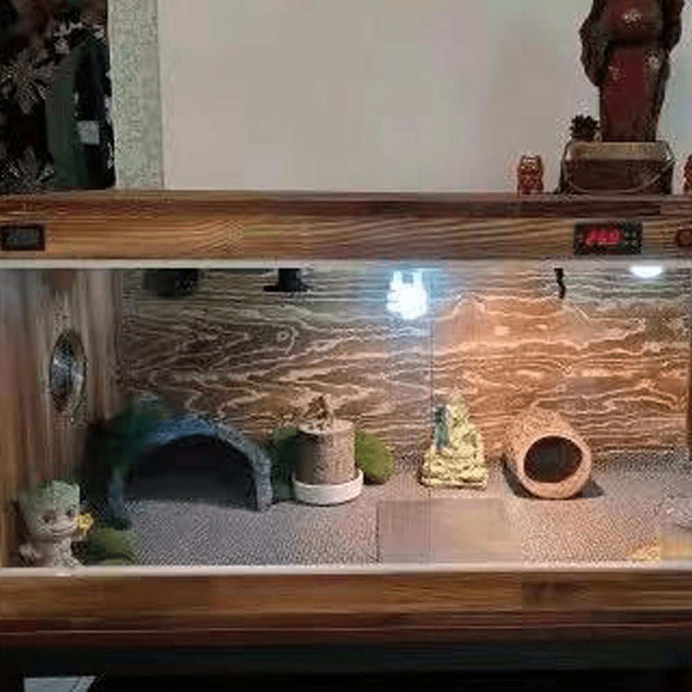 Abustle Pig Reptile Rock Hideout Reptile Rock Hide Cave, Aquarium Habitat Décor Rock Tortoise Hideout for Reptiles, Small Lizards, Turtles,Bearded Dragon Tortoise, Amphibians, Fish Animals & Pet Supplies > Pet Supplies > Reptile & Amphibian Supplies > Reptile & Amphibian Habitats Abustle pig   