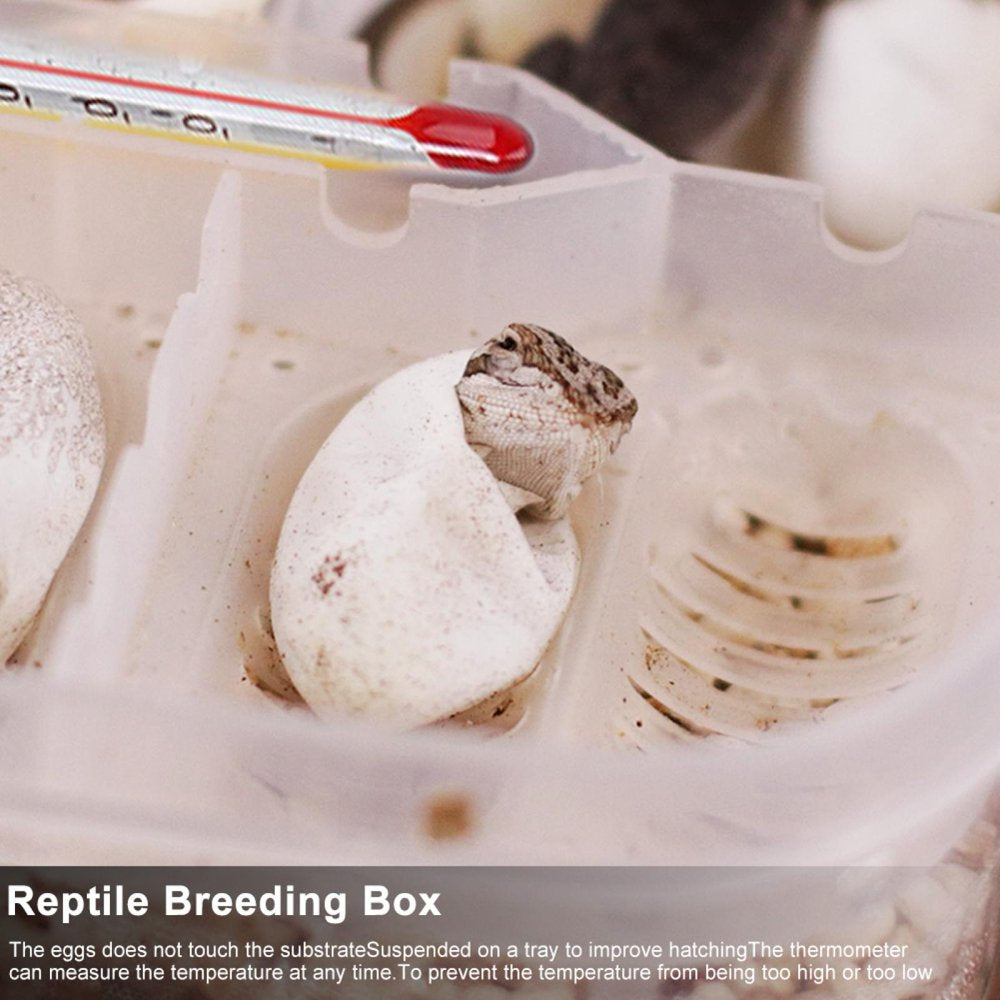 Haofy Reptile Egg Breeding Hatchery Box Transparent Plastic Amphibian Hatching Box Case Tray Breeding Incubator Hatching Tray for Snake Lizards Reptiles with Thermometer Animals & Pet Supplies > Pet Supplies > Reptile & Amphibian Supplies > Reptile & Amphibian Substrates Haofy   