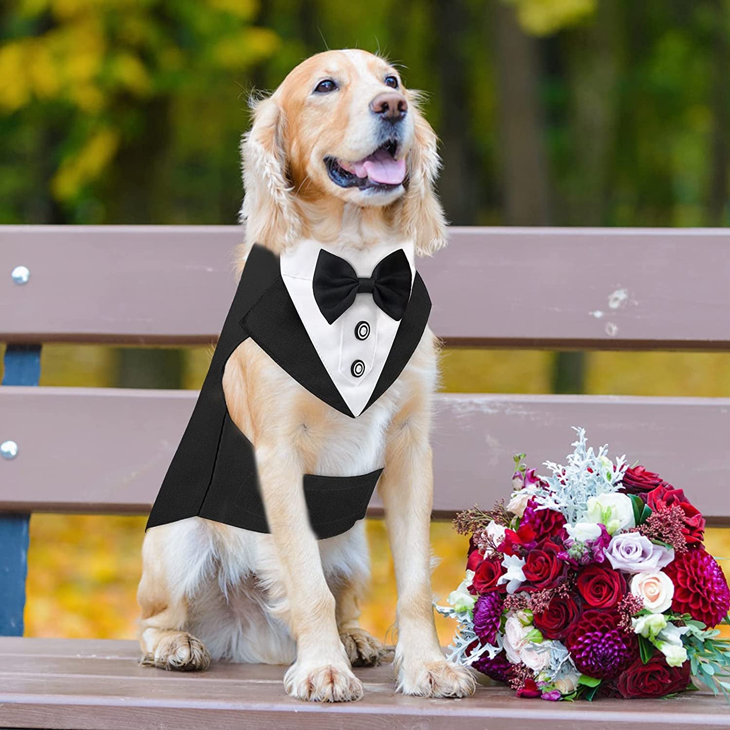 Malier Formal Dog Tuxedo Dog Bandana Suit Set, Stylish Dog Wedding Suit with Collar Dog Costume for Small Medium Large Dogs Animals & Pet Supplies > Pet Supplies > Dog Supplies > Dog Apparel Malier   