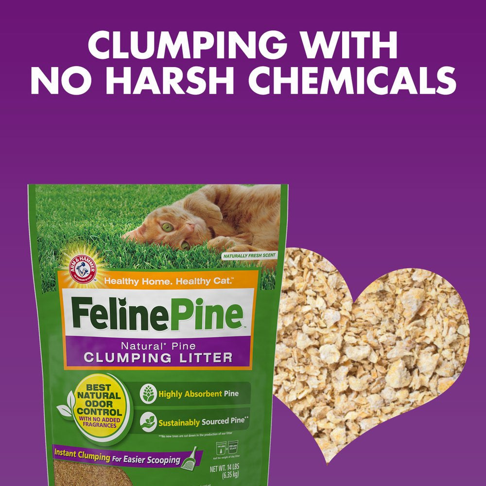 Feline Pine Cat Litter, Natural Pine Clumping Litter, 8Lb Animals & Pet Supplies > Pet Supplies > Cat Supplies > Cat Litter Church & Dwight Co., Inc.   