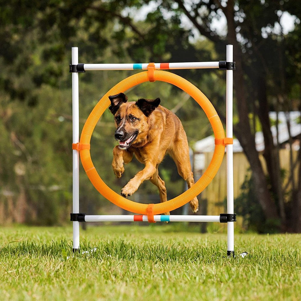 Midlee Dog Agility Beginner Set- Hoop Jump, Weave Poles, and Bar Jump Animals & Pet Supplies > Pet Supplies > Dog Supplies > Dog Treadmills Midlee   